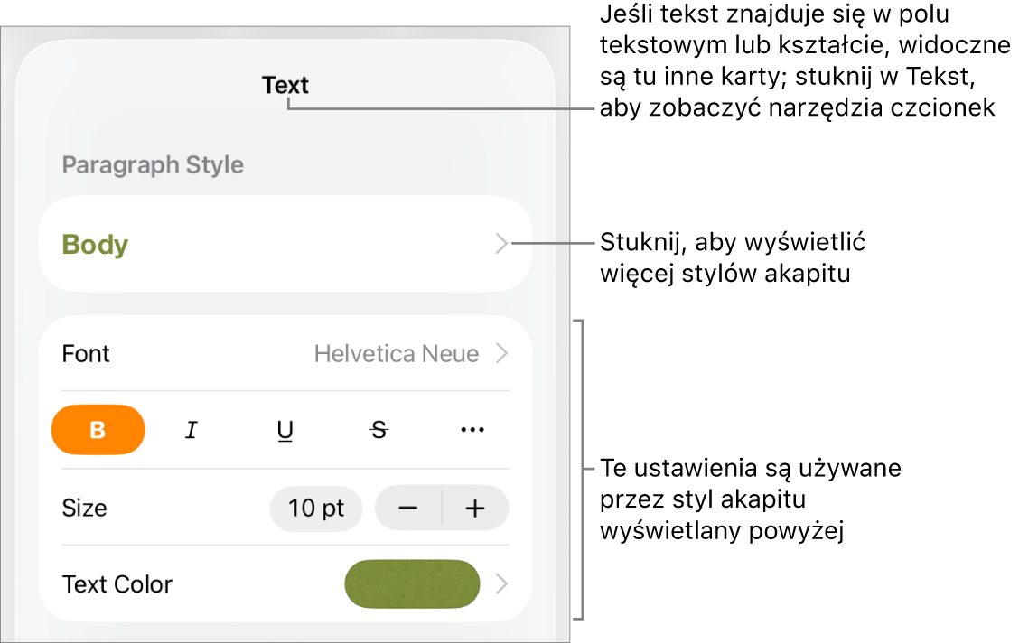 Menu Format z narzędziami tekstu pozwalającymi na ustawianie stylów akapitu, stylów znaków, czcionki, wielkości oraz koloru.