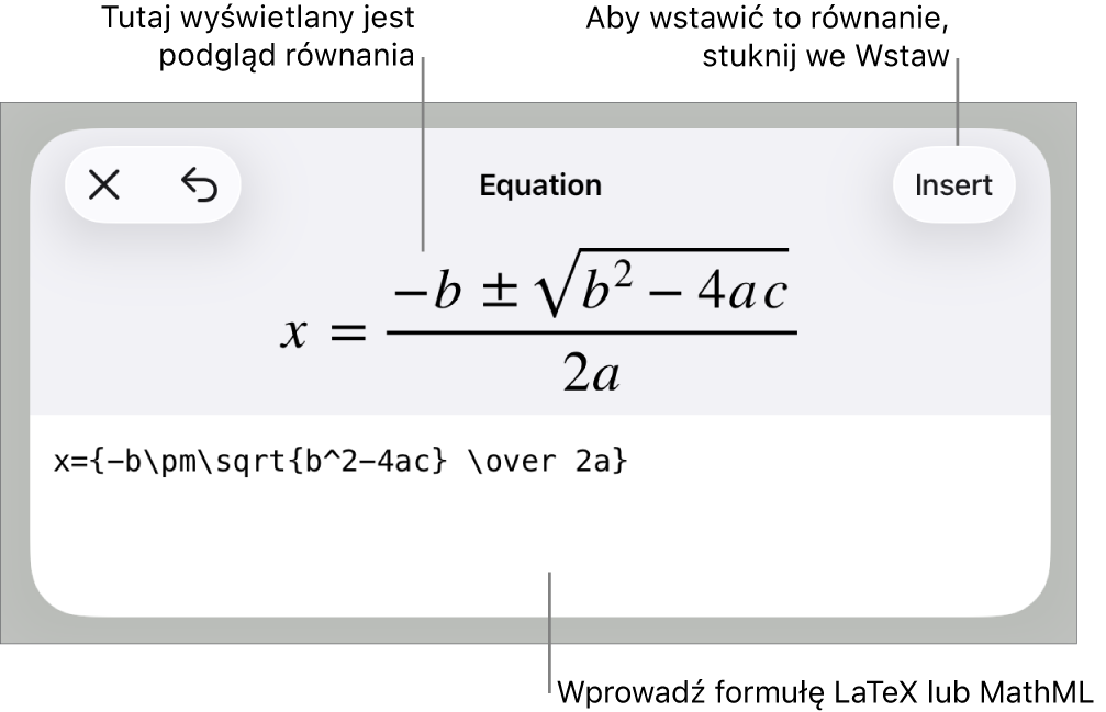 Pole dialogowe Równanie, zawierające równanie zapisane przy użyciu języka MathML. Powyżej widoczny jest podgląd tego równania.