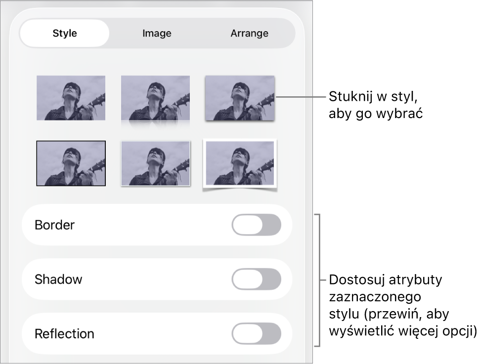 Karta Styl w menu Format, zawierająca na górze style obiektów, a poniżej narzędzia pozwalające na zmienianie obrysu, cienia, odbicia i krycia.