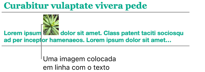 Imagem alinhada com o texto.