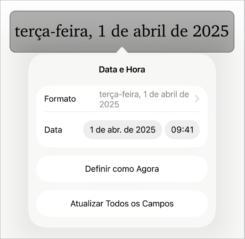 Controles de Data e Hora mostrando um menu pop-up para Formatar data e os botões Definir como Agora e Atualizar Todos os Campos.