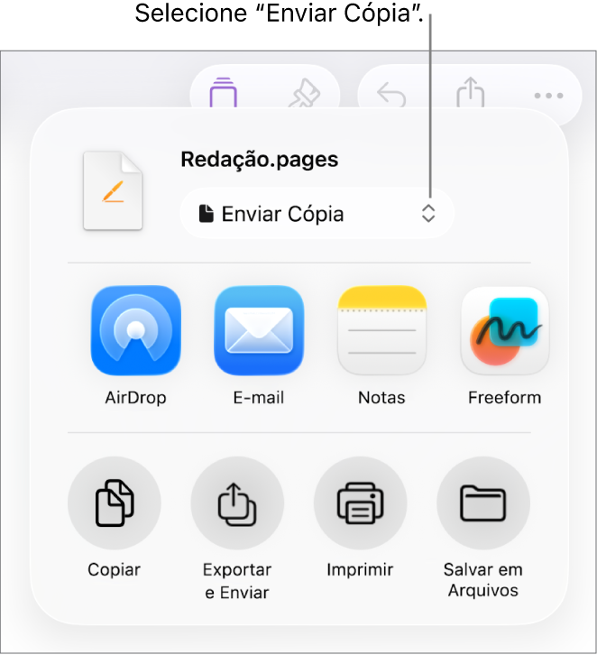 Menu Compartilhar com “Enviar Cópia” selecionado na parte superior.