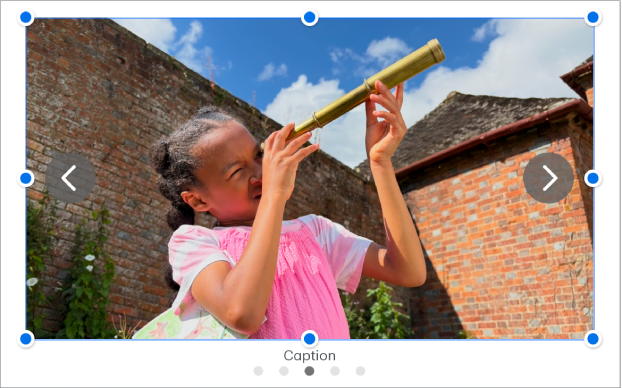 Um objeto de galeria de imagens com quatro imagens, com uma legenda por baixo e setas de navegação à esquerda e à direita.