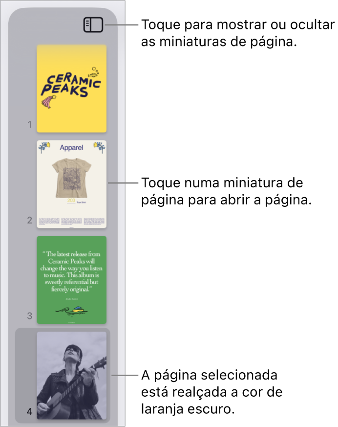 A vista de miniaturas das páginas no lado esquerdo do ecrã com uma página selecionada. O botão "Opções de visualização” está por cima das miniaturas.