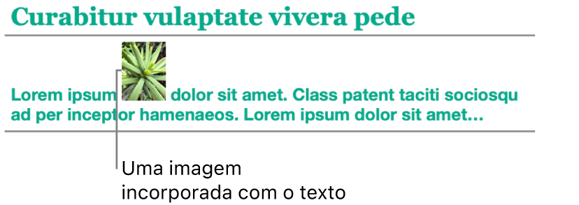 Uma imagem é colocada incorporada com o texto: