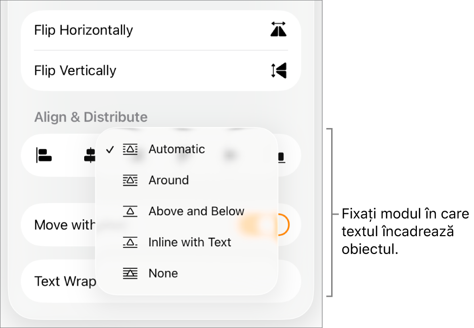 Comenzile Format cu fila Aranjare selectată. Sub aceasta se află comenzile Încadrare text cu Mută în spate/față, Se mută cu textul și Încadrare text.