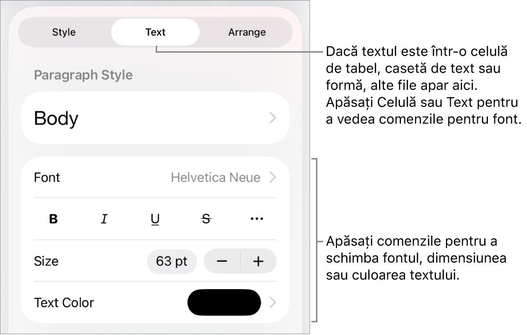 Comenzi text din meniul Format pentru configurarea paragrafelor și a stilurilor, fonturilor, dimensiunii și culorii caracterelor.