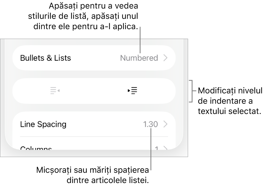 Secțiunea Marcatori/liste din comenzile Format cu explicații pentru Marcatori/liste, butoanele de indentare și indentare exterioară, precum și comenzile pentru spațierea liniilor.