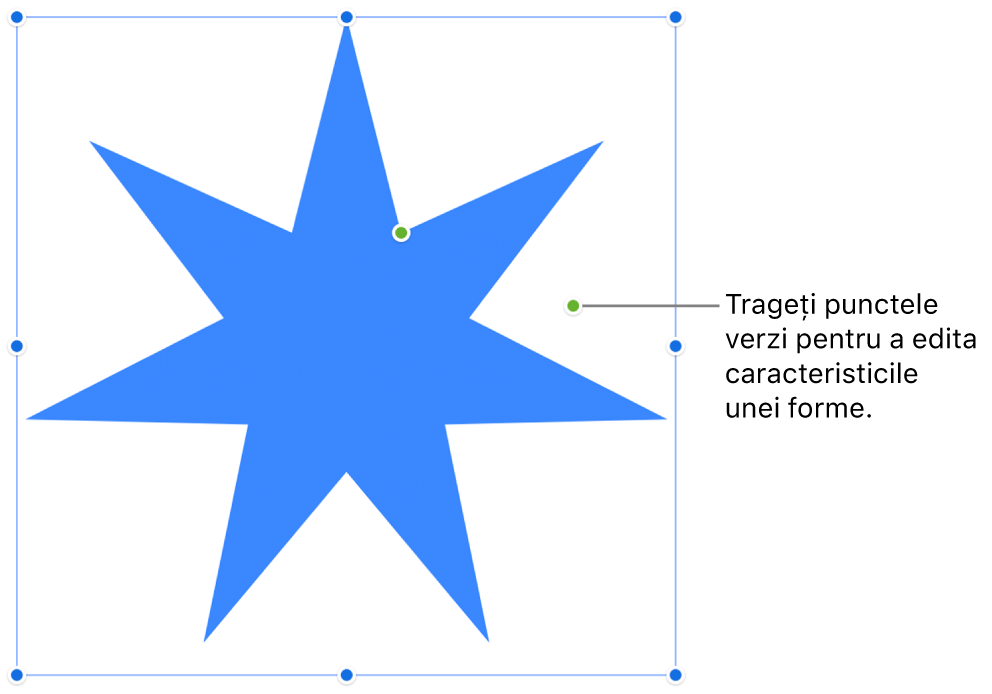 O formă cu mânere de selecție.