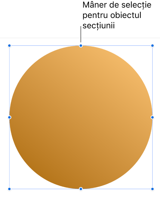 Un obiect cu mânere de selecție.