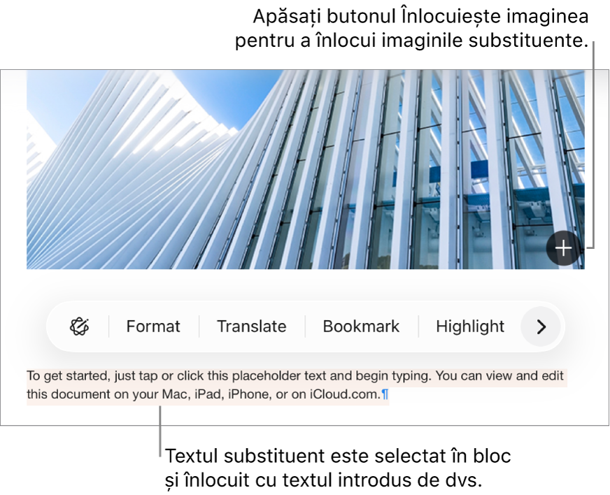 Text și imagini substituente.
