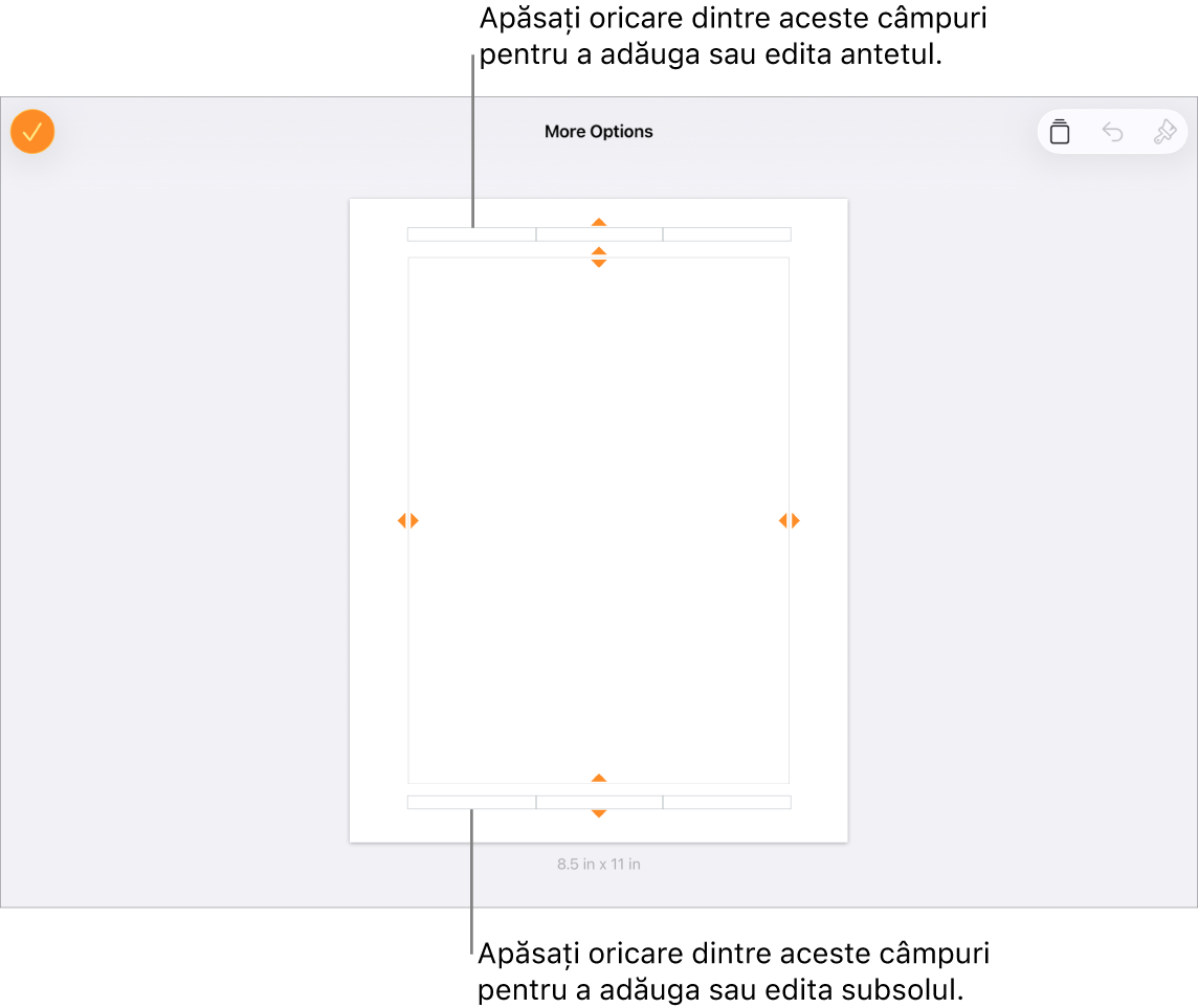 Vizualizarea Mai multe opțiuni, cu trei câmpuri pentru anteturi în partea de sus a documentului și trei câmpuri pentru subsoluri în partea de jos.