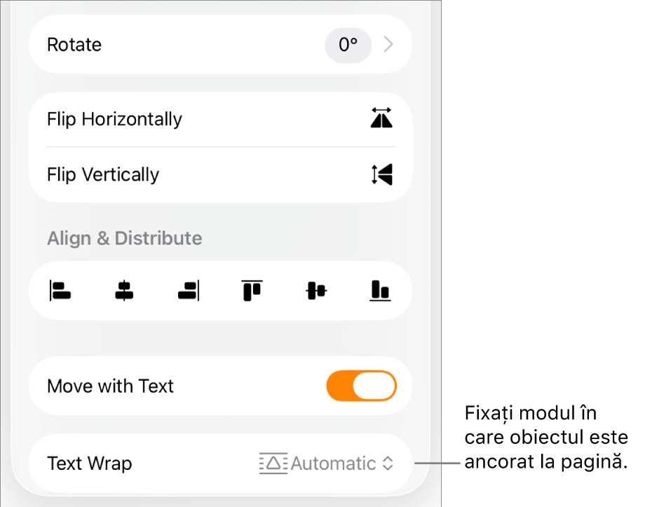 Comenzile Format cu fila Aranjare selectată și comenzile pentru Mutați în spate/față, Mutare odată cu textul și Încadrare text.