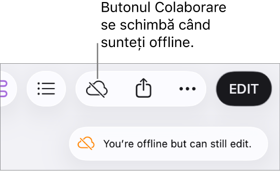 Pe ecran apare o alertă „Sunteți offline, dar puteți edita în continuare”.