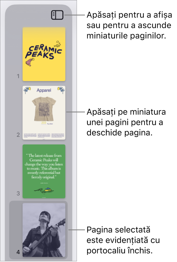 Vizualizarea Miniaturi pagini în partea stângă a ecranului, având selectată o pagină. Butonul Opțiuni de afișare se află deasupra miniaturilor.