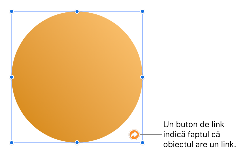Un buton de link pe o formă.