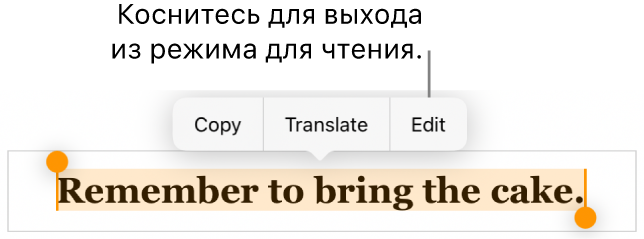 Выбрано предложение; над ним отображается контекстное меню с кнопками «Скопировать» и «Правка».