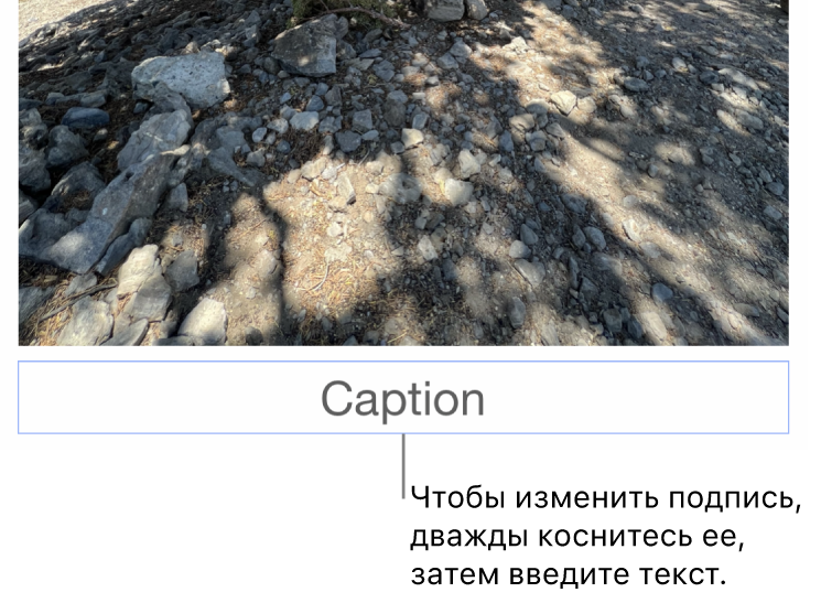 Под фотографией отображается заполнитель «Подпись»; синяя рамка вокруг поля подписи показывает, что оно выбрано.