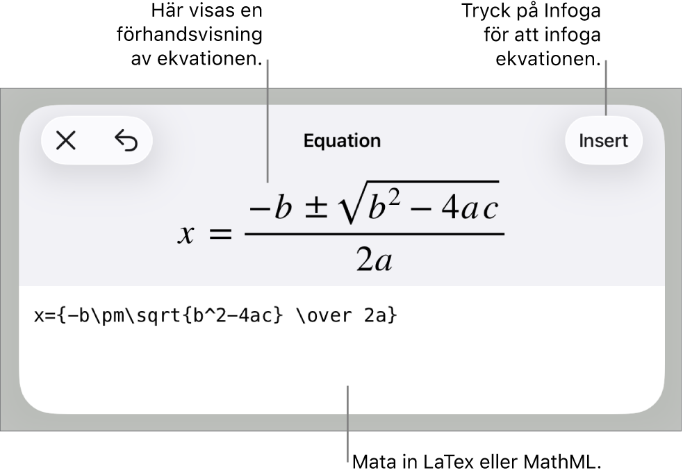 Dialogrutan Ekvation visar en ekvation som skrivits med MathML-kommandon och en förhandsvisning av formeln ovanför den.