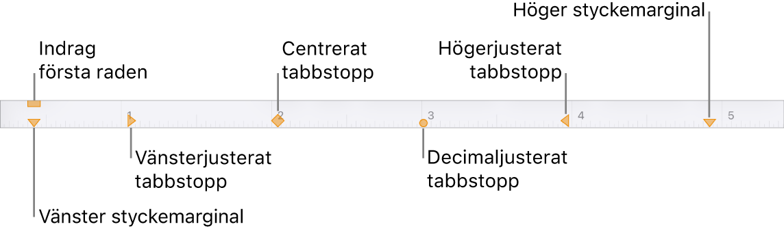 Linjal med reglage för vänster- och högermarginal, indrag på första raden och fyra typer av tabbstopp.