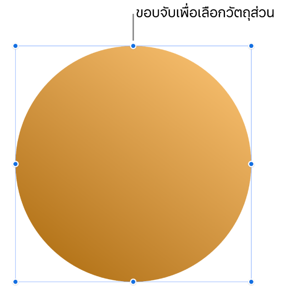 วัตถุที่มีขอบจับเพื่อเลือก