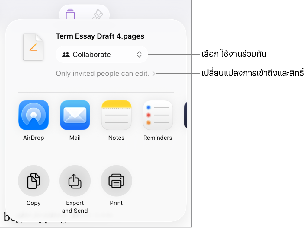 เมนูแชร์ที่มีใช้งานร่วมกันถูกเลือกอยู่ที่ด้านบนสุด และการตั้งค่าการเข้าถึงและสิทธิ์อยู่ที่ด้านล่าง