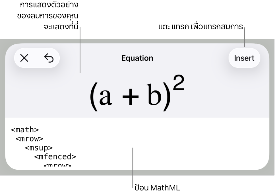หน้าต่างโต้ตอบสมการ ที่แสดงสมการที่เขียนโดยใช้คำสั่ง MathML และการแสดงตัวอย่างของสูตรด้านบน