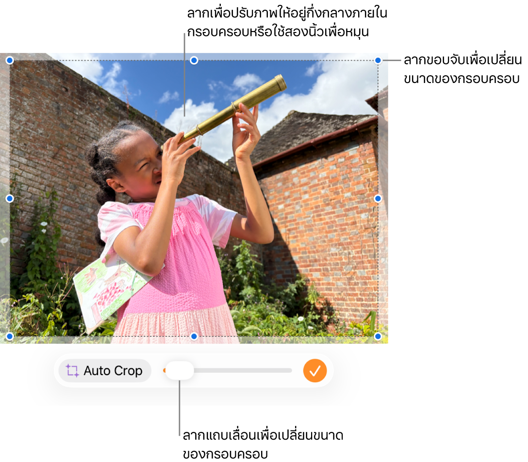 ตัวควบคุมการครอบที่อยู่เหนือรูปภาพ