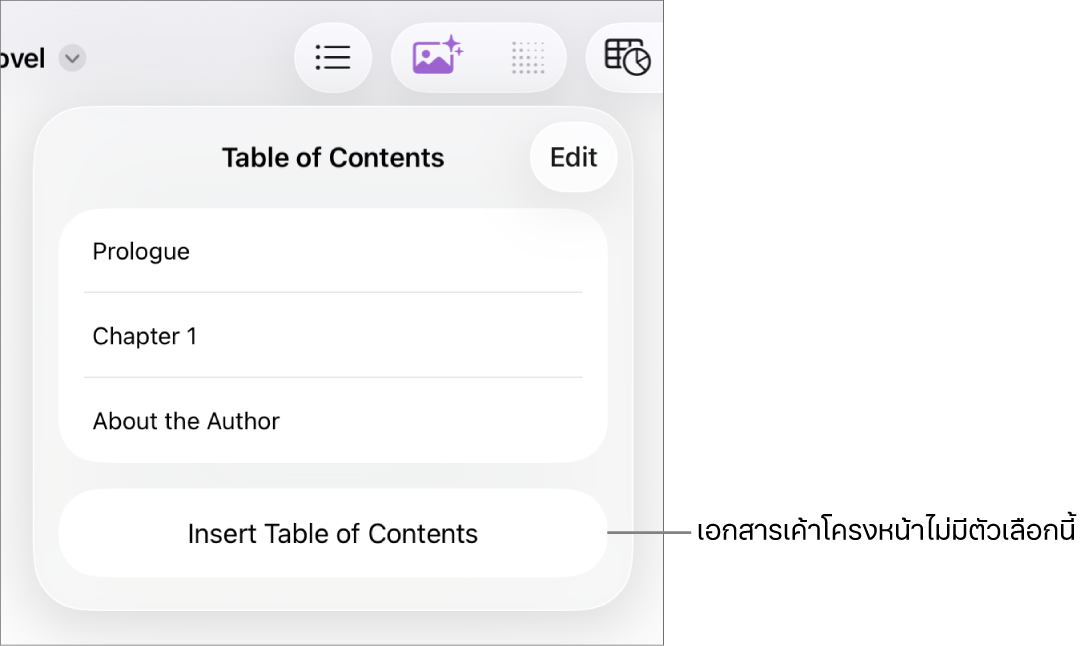มุมมองสารบัญที่มี แก้ไข ที่มุมขวาบนสุด รายการสารบัญ และปุ่มแทรกสารบัญที่ด้านล่างสุด