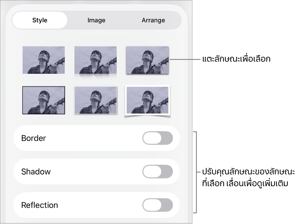 แถบลักษณะของเมนูรูปแบบที่มีลักษณะวัตถุอยู่ด้านบนสุดและตัวควบคุมสำหรับเปลี่ยนเส้นขอบ เงา การสะท้อน และความทึบ อยู่ด้านล่าง