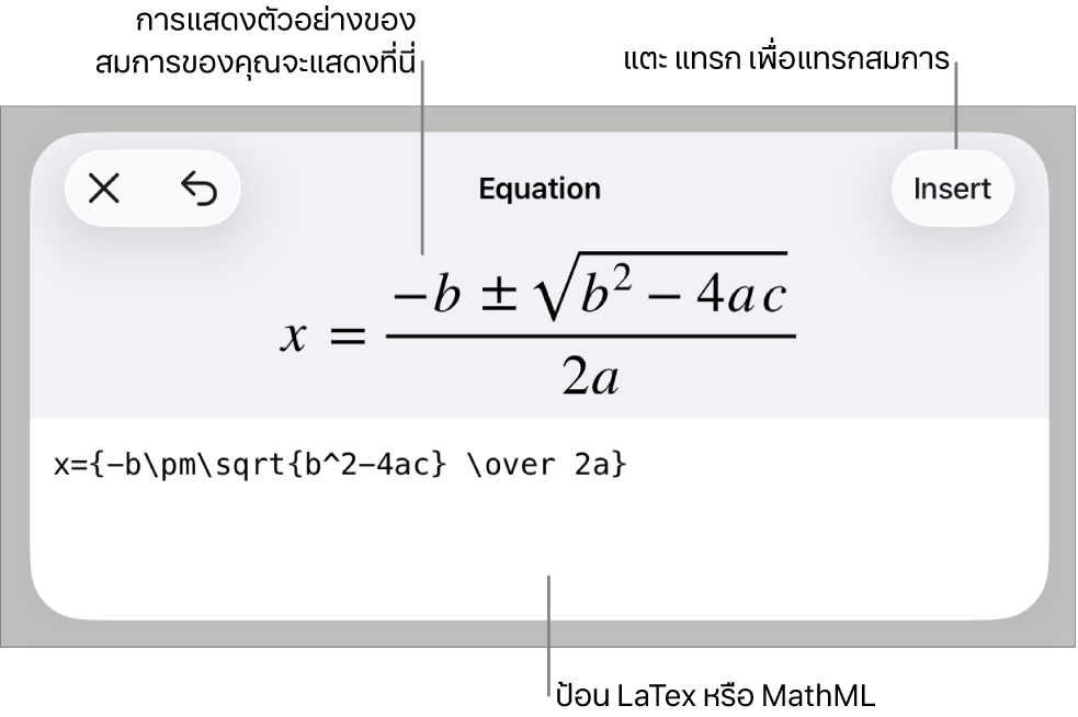 หน้าต่างโต้ตอบสมการ ที่แสดงสมการที่เขียนโดยใช้คำสั่ง MathML และการแสดงตัวอย่างของสูตรด้านบน