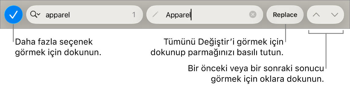 Arama Seçenekleri, Değiştir, Yukarı Git ve Aşağı Git düğmelerine belirtme çizgileriyle klavyenin üst tarafındaki Bul ve Değiştir denetimleri