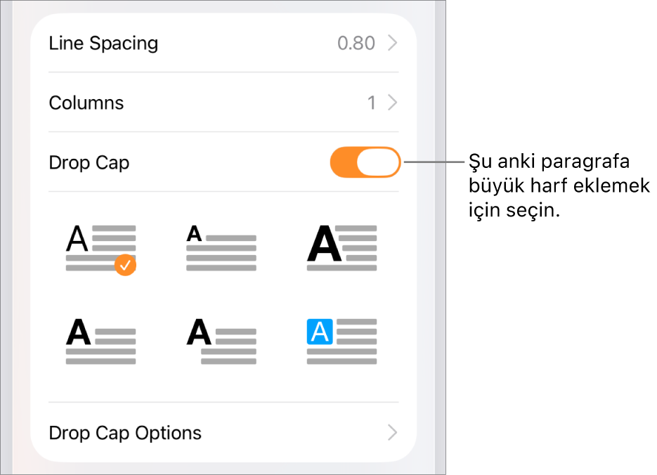 Metin menüsünde yer alan İlki Büyük Harf denetimleri.