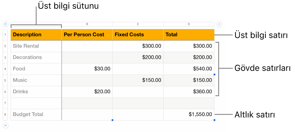 Üst bilgi, gövde ve dipnot satırlarını ve sütunlarını gösteren bir tablo.