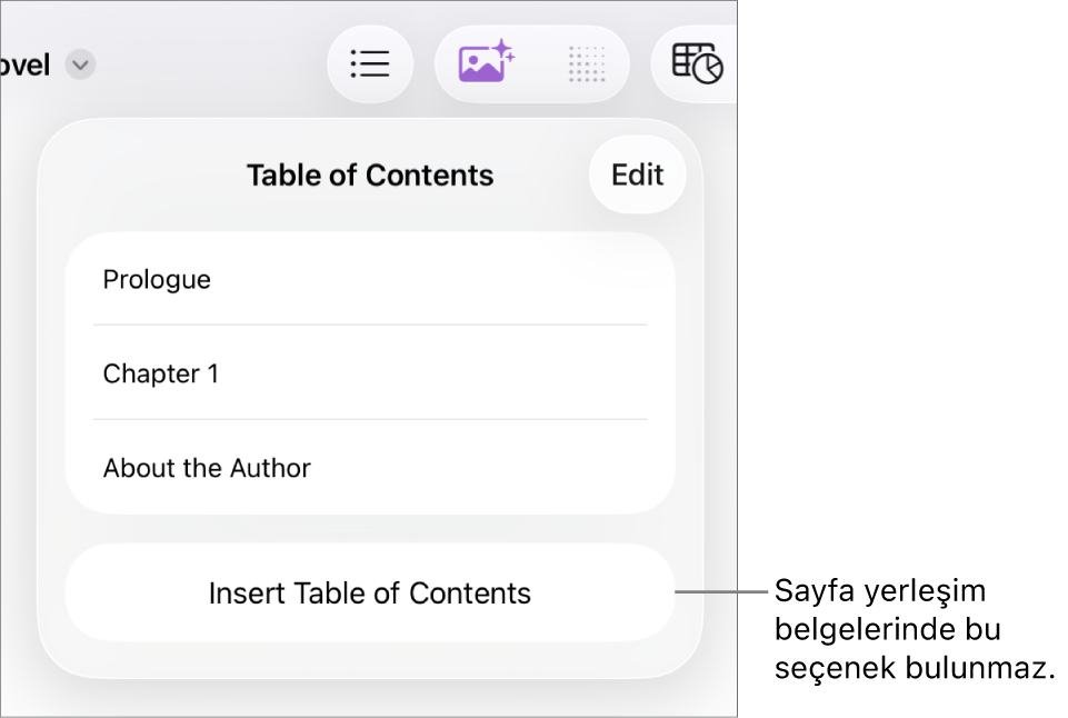 Sağ üst köşedeki Düzenle, içindekiler girişleri ve en altta da İçindekiler Ekle düğmesi ile içindekiler görüntüsü.