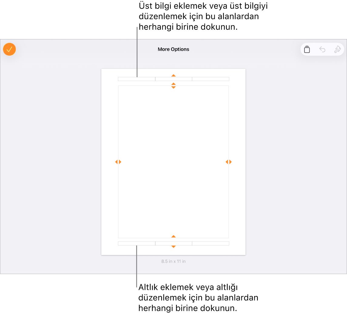 Üst bilgiler için belgenin en üstündeki üç alan ve alt bilgiler için en alttaki üç alan ile Daha Fazla Seçenek görüntüsü.
