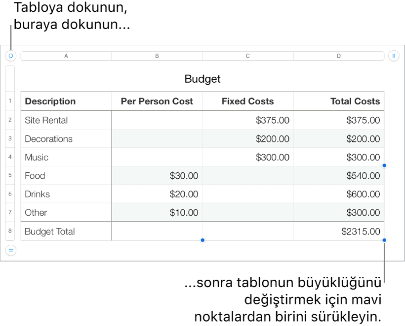 Yeniden boyutlandırma için mavi noktaları bulunan seçili bir tablo.