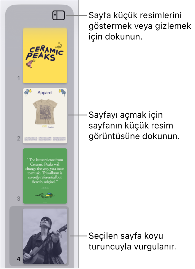 Ekranın sol tarafında bir sayfa seçili şekilde Sayfa Küçük Resimleri görüntüsü. Görüntü Seçenekleri düğmesi, küçük resimlerin üst tarafındadır.