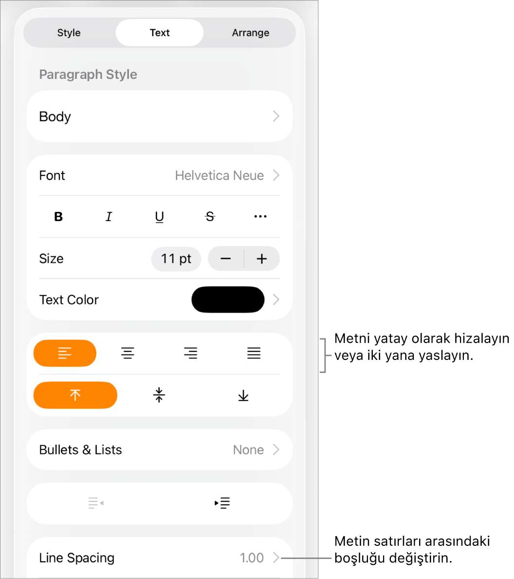 Metin sekmesi seçili, metin hizalama düğmelerinin belirtme çizgileri ve menü öğesi ile birlikte Biçim denetimleri düğmesi.