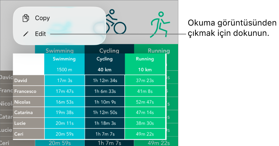 Bir tablo hücresi seçilir, üstünde Kopyala ve Düzen düğmeleri ile bir menü bulunur.