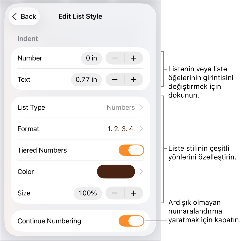Girinti aralığı, liste türü ve biçimi, katmanlı sayılar, liste rengi ve büyüklüğü ve devamlı numaralandırma denetimleri ile Liste Stilini Düzenle menüsü.