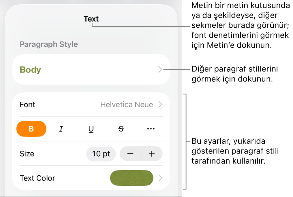 Paragraf ve karakter stillerini, fontu, puntoyu ve rengi ayarlamayla ilgili metin denetimlerini gösteren Biçim menüsü.
