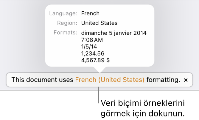O dil ve bölgede kullanılan biçimlendirme örneklerini gösteren, farklı dil ve bölge ayarı bildirimi.