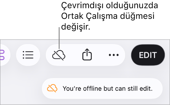 Ekrandaki bir uyarı “Çevrimdışısınız ama yine de düzenleyebilirsiniz” der.
