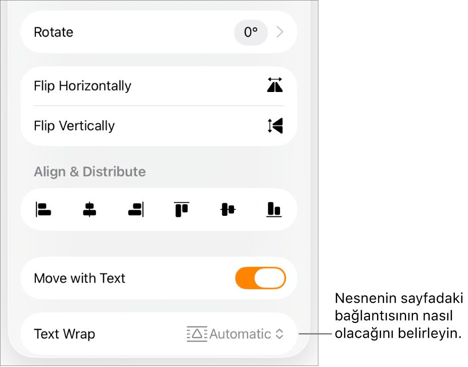 Yerleştir sekmesi seçili ve En Arkaya/Öne Taşı, Metinle Taşı ve Metin Kaydırma denetimleri ile Biçim denetimleri.