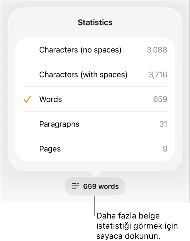 Boşluksuz ve boşluklu karakter sayısını, sözcük sayısını, paragraf sayısını ve sayfa sayısını gösterme seçeneklerini gösteren menüyle sözcük sayacı.
