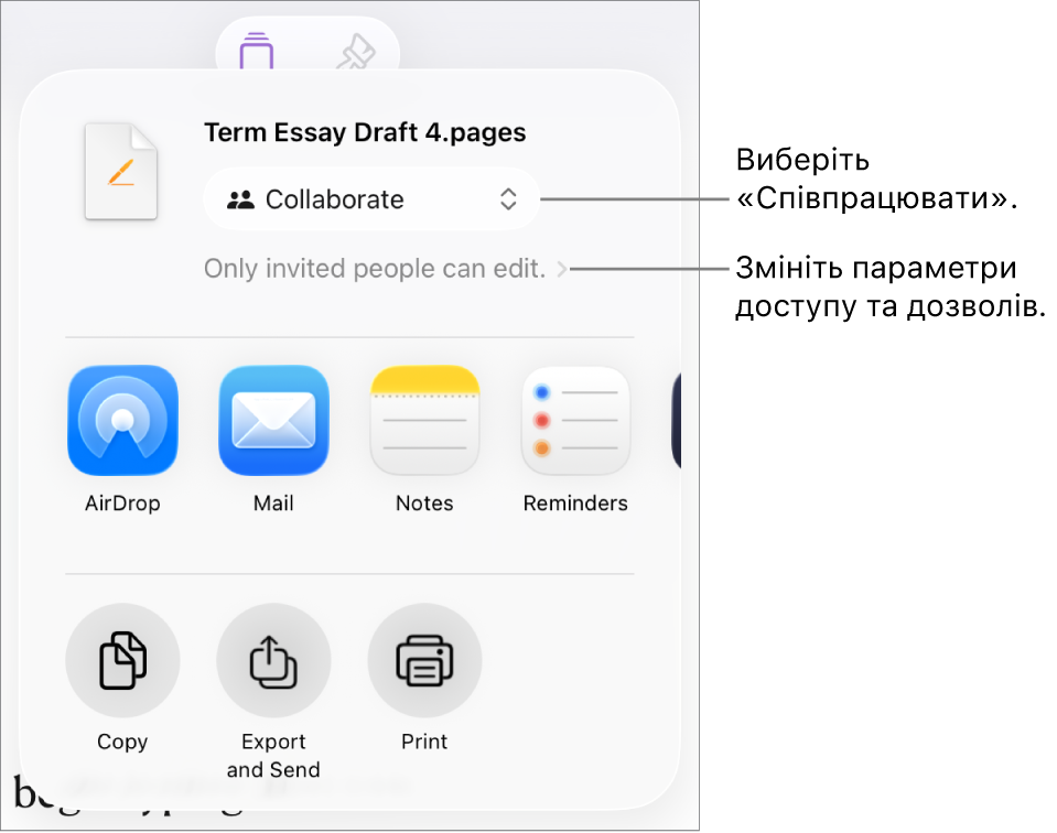 Меню «Поширити» з вибраним угорі елементом «Співпраця», а також параметрами доступу й дозволів унизу.