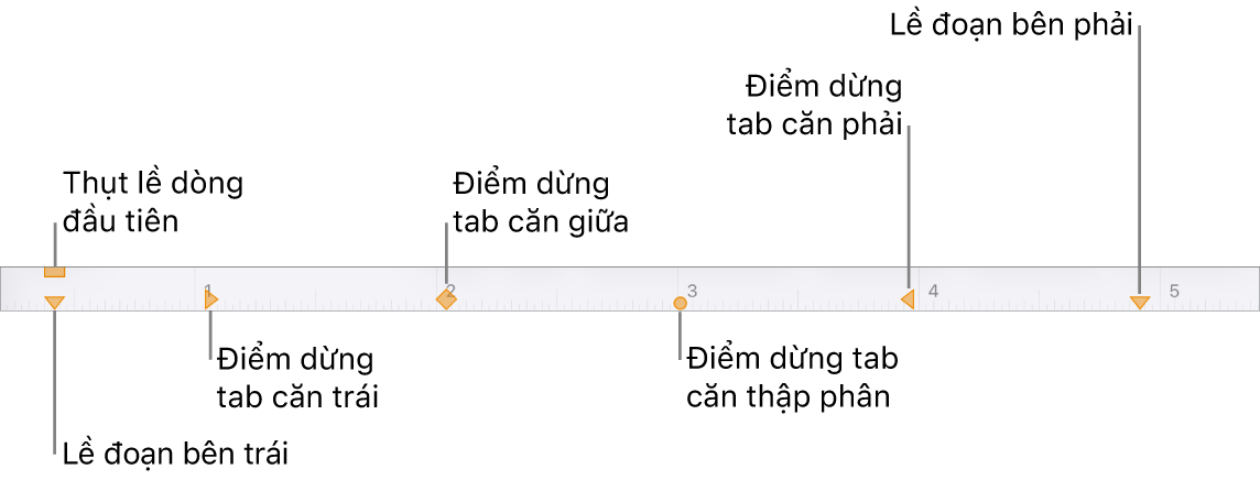 Thước hiển thị các điều khiển cho lề trái và lề phải, thụt lề dòng đầu tiên và bốn loại điểm dừng tab.