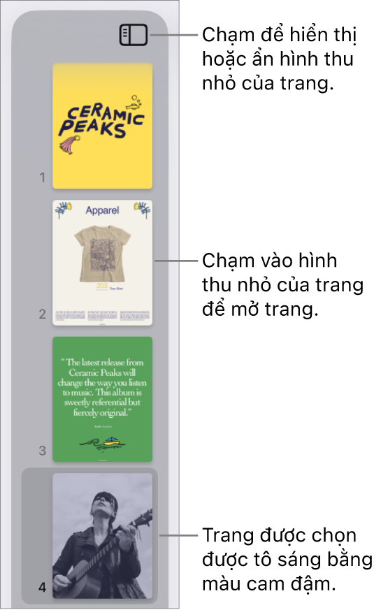 Chế độ xem Hình thu nhỏ của trang ở phía bên trái của màn hình với một trang được chọn. Nút Tùy chọn Xem ở phía trên các hình thu nhỏ.