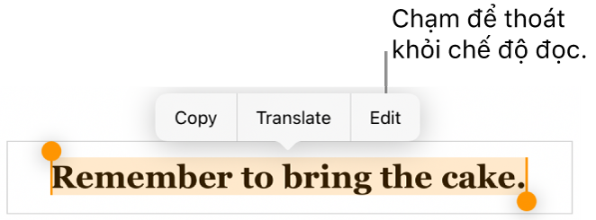 Một câu được chọn và phía trên câu đó là menu ngữ cảnh với các nút Sao chép và Sửa.